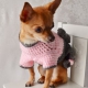 編み物で仕立てた犬用の服は大切な愛犬に着せてあげたい！
