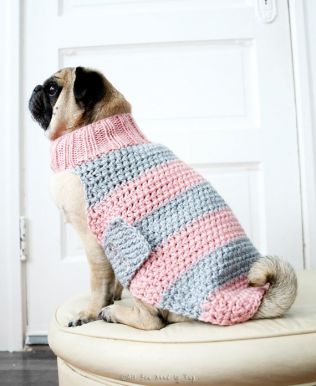 [最も選択された] 犬 編み物 服 883497-編み物 犬 服 初心者 - gbrapixakumo