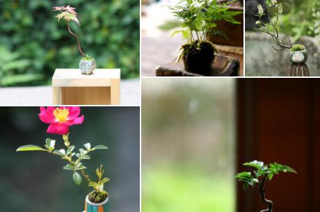 心が和む日本伝統の園芸・ミニ盆栽を自分の手で作ろう！
